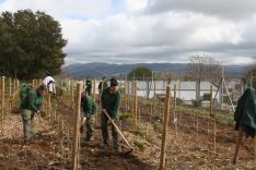 El taller de viticultura trabaja con seis variedades de uva. // Maribel Chito