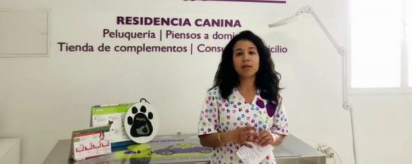 La veterinaria rondeña recomienda que las patas de las mascotas sean desinfectadas con toallitas de clorhexidina. // CharryTV