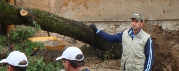 El mal tiempo provoca varias incidencias en la ciudad, La Delegada de Cultura, Pepa Becerra, resulta herida leve tras la caída de un ciprés en el Convento de Santo Domingo., 09 Nov 2010 - 21:23