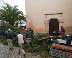 Operarios municipales retirando las ramas del árbol. // CharryTV