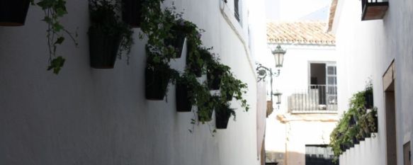 El objetivo es el de embellecer la zona antigua del municipio con flores. // CharryTV