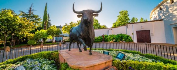 Los organizadores quieren concluir el paseo con la lectura de un manifiesto reivindicativo junto a la estatua del toro ubicada en la Plaza del Teniente Arce. // Juan Velasco