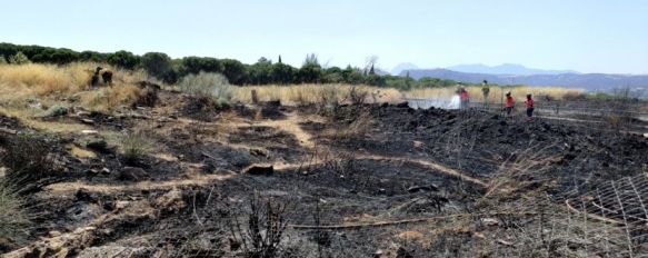 Infoca y Bomberos controlan un incendio en una de las entradas a la barriada de La Dehesa, El fuego, cuyo origen se desconoce por el momento, ha afectado a una hectárea y media de monte bajo según el Consorcio Provincial de Bomberos , 30 Jul 2020 - 17:28