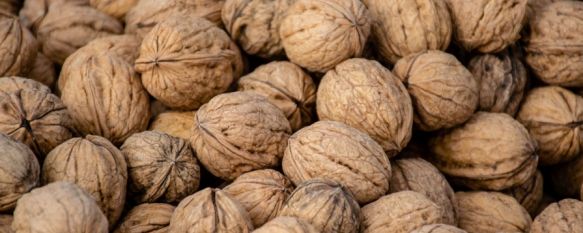 De las en torno a 45 hectáreas de extensión de la finca, unas 32 son productivas. // Nueces de Ronda