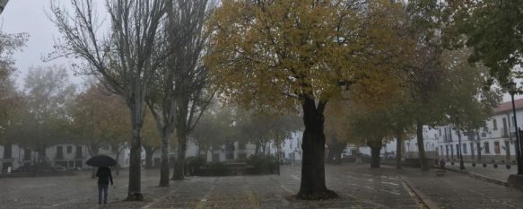 La AEMET activa el aviso amarillo en Ronda por rachas de viento de hasta 70 km/h, De cara al resto de la semana se espera un notable descenso de temperaturas, con mínimas de 8 grados , 20 Oct 2020 - 18:06