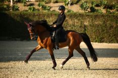 Los jinetes de Doma Clásica deben ejecutar una serie de movimientos en base a la armonía que establezcan con su caballo. // María Carnerero