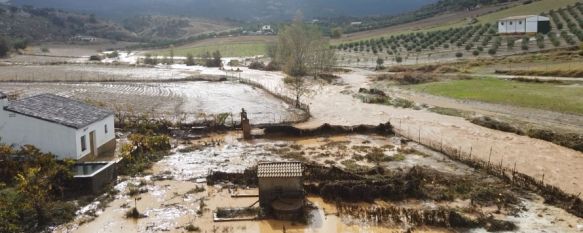 La precipitación acumulada de las últimas 24 horas en Ronda es de 83,9 litros por metro cuadrado. // Nacho Garrido