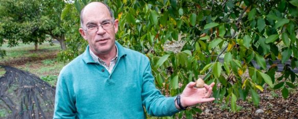 Nueces de Ronda se une a Sabor a Málaga, marca gastronómica de la Diputación provincial, Su gerente, Álvaro Fernández, explica que con esta adhesión pretenden acercar el producto, que se cultiva en el nogueral más antiguo de España, al mercado local, 09 Feb 2021 - 11:06