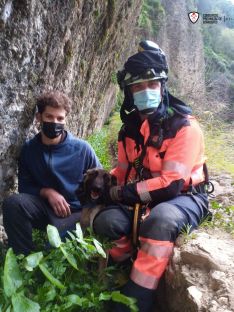 Un zarzal amortiguó la caída del animal, que se precipitó 20 metros por una cornisa. // Consorcio Provincial de Bomberos