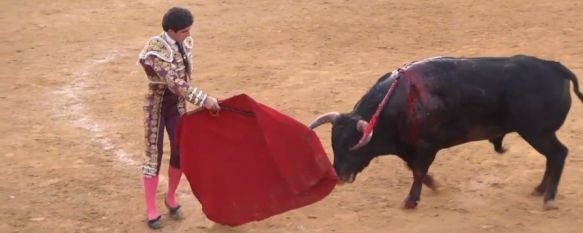 El novillero Pablo Paéz indulta al bravo Bribón en Sanlúcar de Barrameda, El joven rondeño culminó una extraordinaria faena en la que cortó dos orejas y rabo simbólico en la primera cita del Circuito de Novilladas de Andalucía , 31 May 2021 - 10:49