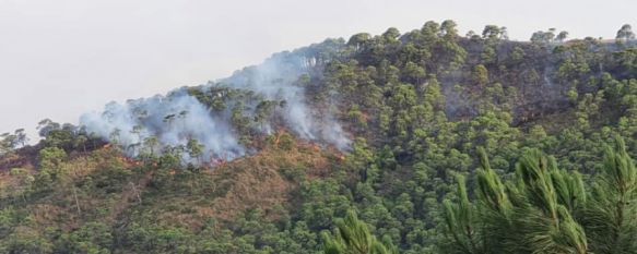 La declaración del fuego obligó a evacuar a 13 familias que ya han podido regresar a sus viviendas. // Consorcio Provincial de Bomberos