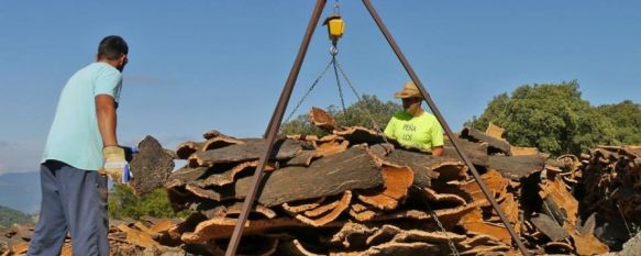 El ayuntamiento licitará todo el extraído en 2021 en tres lotes. // Rafael Flores 