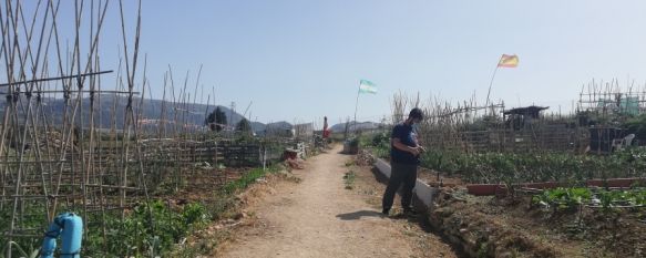 Alerta naranja en la comarca de Ronda para el fin de semana, La ola de calor llega con temperaturas máximas superiores a 40 grados y un alto porcentaje de riesgo de incendios, 13 Aug 2021 - 11:34