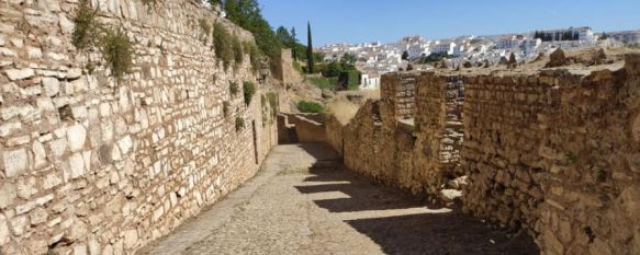 Además de la ubicación de nuevo pavimento, las obras implicarán la sustitución de elementos de iluminación ya deteriorados y la instalación de nuevos en aquellas zonas sin luz. // Josefa Valle