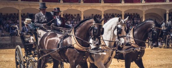 El Ayuntamiento de Ronda organiza el concurso-exhibición, que dirige el Real Club de Enganches de Andalucía. // Juan Velasco