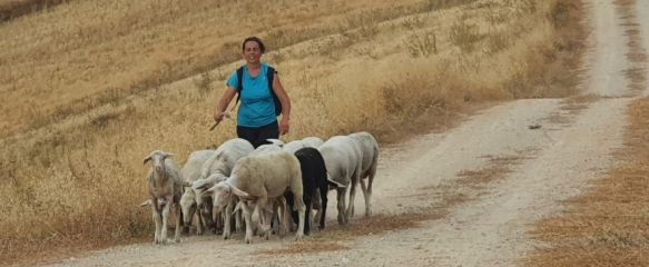 La Fanega ayuda a personas con discapacidad a integrarse en el mundo rural. // La Fanega 