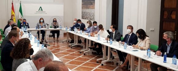 La Junta invertirá 4,6 millones de euros en obras de emergencia del incendio de Sierra Bermeja, La constitución del foro de participación social y del comité científico, está destinada a contribuir a la recuperación de las 9.581 hectáreas afectadas, 15 Oct 2021 - 16:16