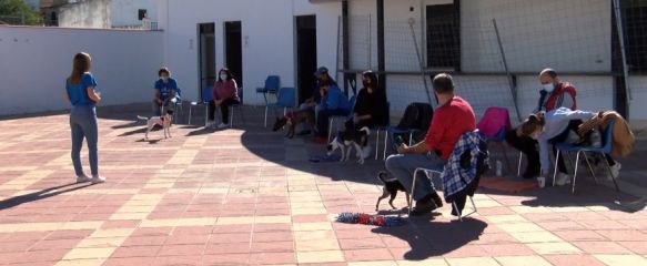 Entre Patas fomenta en Arriate el respeto por los animales , El municipio ha acogido este domingo una de las jornadas del programa de la Diputación provincial para la defensa y el bienestar de las mascotas, 08 Nov 2021 - 16:37