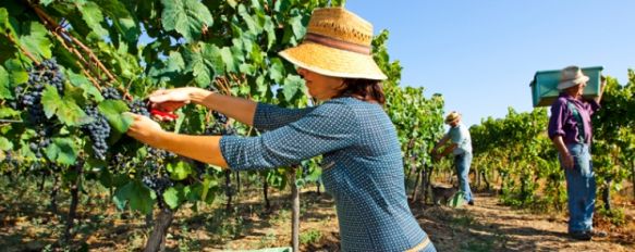 Todos los miembros de la familia Schatz trabajan en esta empresa de vinos ecológicos // Bodegas F. Schatz