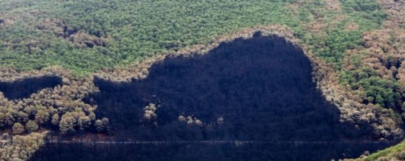 Una parte de la zona quemada por el incendio forestal // Álex Zea (Europa Press) Una parte de la zona quemada por el incendio forestal // Álex Zea (Europa Press)
