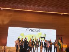 Durante la gala se han concedido ocho premios a CAPIs de toda Andalucía. // Ani González