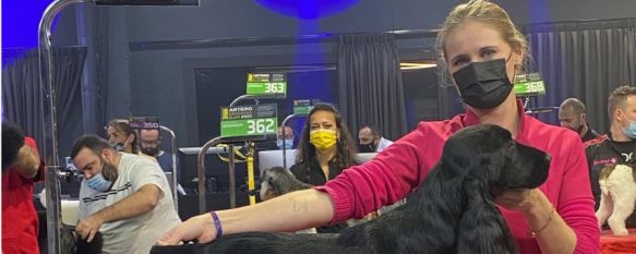 Una joven rondeña alcanza el podio en peluquería canina, En noviembre, Alexandra Fris recibía una medalla de plata en el Artero Grooming Slam, un campeonato mundial en el que se dieron cita más de 400 aspirantes, 07 Jan 2022 - 17:57