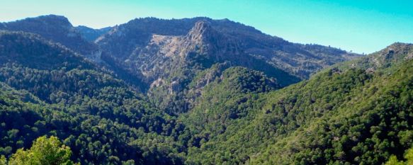 La Junta invertirá 4,2 millones de euros en el Parque Nacional Sierra de las Nieves, Ya se han iniciado las primeras actuaciones, valoradas en medio millón de euros. El resto, se invertirá con fondos de recuperación y de resiliencia, 25 Jan 2022 - 10:45