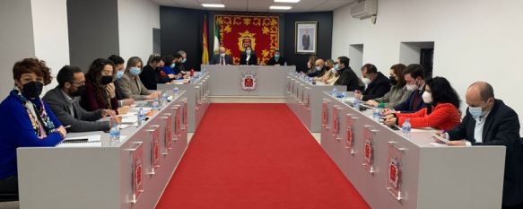 Según Fernández, el PGOU impide implantar los 23 parques fotovoltaicos proyectados en Ronda, La alcaldesa ha apelado a la tranquilidad y argumenta que todos son incompatibles en cuanto al uso del suelo o líneas de evacuación, 31 Jan 2022 - 12:12