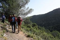 Sánchez durante su visita al Parque Nacional Sierra de las Nieves. // Pool Moncloa/Borja Puig de la Bellacasa