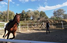 La escuela cuenta con alumnos desde los 7 hasta los años que, además de montar, también aprenden a domar a los caballos // Paloma González 