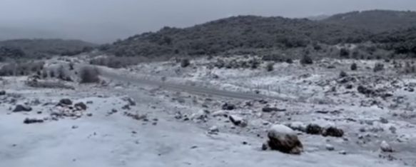 La nieve ha vuelto a cuajar este lunes en la carretera hacia San Pedro de Alcántara  // Ayuntamiento de Ronda