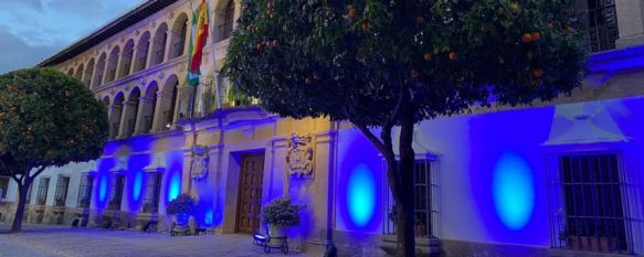 AOPA ha solicitado a 23 ayuntamientos de la Serranía que iluminen un edificio local de azul en señal de apoyo al colectivo el próximo 2 de abril. // Ayuntamiento de Ronda