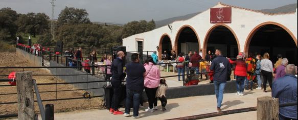 Un centenar de personas acudieron este domingo a la inauguración del centro // Equus Ronda