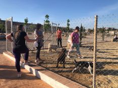 Este parque canino se suma al de la barriada de La Dehesa // Ayuntamiento de Ronda