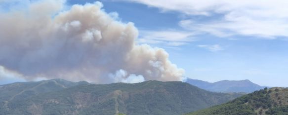 El paraje afectado, La Resinera, es una zona inaccesible por tierra, según ha trascendido desde INFOCA. // INFOCA