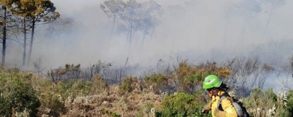 La inversión térmica ha dificultado el acceso a algunas zonas de los medios aéreos esta mañana. // INFOCA