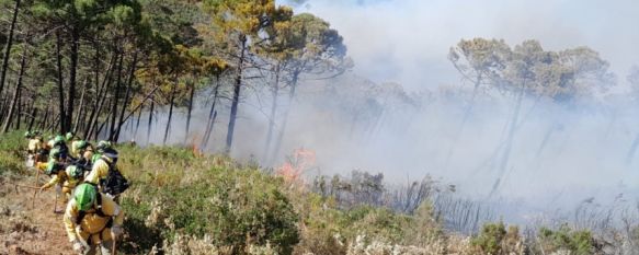 El INFOCA continúa trabajando en el control del incendio de Pujerra, En los últimos días los efectivos han logrado perimetrar el 80% de la zona afectada, aunque las intensas rachas de viento y una humedad baja han reactivado focos, 13 Jun 2022 - 15:16