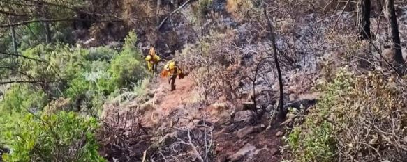 INFOCA da por controlado el incendio declarado en Pujerra el pasado miércoles, Los efectivos forestales han logrado establecer una línea de control por todo el perímetro, en cuyo interior aún quedan algunos puntos calientes, 16 Jun 2022 - 08:06