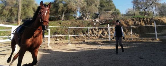 La antigua finca de El Noque se ha convertido en el Centro Hípico de Avilés  // CharryTV