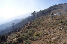 A falta de realizar la medición del territorio afectado, se estima que las llamas han afectado a más de 500 hectáreas. // CharryTV