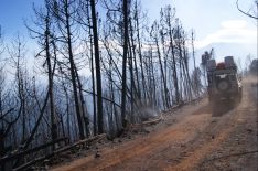 Pinos, alcornoques y castaños se han visto afectados por el fuego. // CharryTV