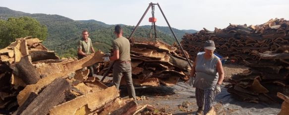 El Ayuntamiento obtiene 795.000 euros de la venta de corcho de los Montes de Propio, Supone un ingreso de 156.290 euros más de lo previsto gracias a la buena calidad del producto, 18 Aug 2022 - 10:16