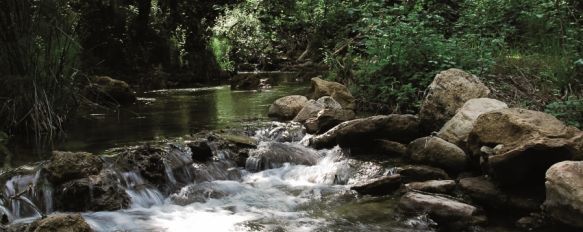 Se trata de uno de los senderos fluviales de mayor valor ambiental de la provincia. // CharryTV