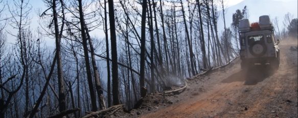 Se han calcinado unas 750 hectáreas de castaños, pinos y matorral. // CharryTV