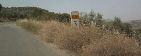 La carretera MA5401 por Casarabonela es la que contiene el puente dañado. // Objetivo Málaga La carretera MA5401 por Casarabonela es la que contiene el puente dañado. // Objetivo Málaga