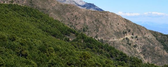 Incendio en Sierra Bermeja: “Estamos peor que hace un año, la sierra está cada vez más abandonada”, Europa estudia una posible infracción contra España por no establecer las medidas de conservación necesarias , 23 Sep 2022 - 16:25