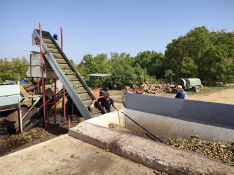 Todas las nueces llegan a la planta de procesado, donde se desechan aquellas que no son óptimas para el consumo  // Paloma González 