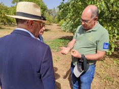 Álvaro Fernández explica las diferencias entre las variedades de nueces que podemos encontrar en la finca // Paloma González