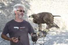 El recinto acogerá, entre otras actividades, un espectáculo diario de aves rapaces. // CharryTV