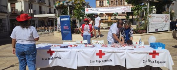 Cruz Roja recupera el Día de la Banderita en Ronda, La organización de ayuda humanitaria ha instalado este jueves un stand informativo en la plaza del Socorro , 06 Oct 2022 - 15:42